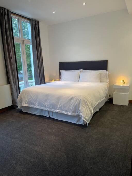 Designer 2 Bedroom Pimlico London Bagian luar foto